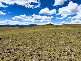 view from the property