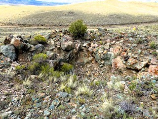 view west from the top of the property