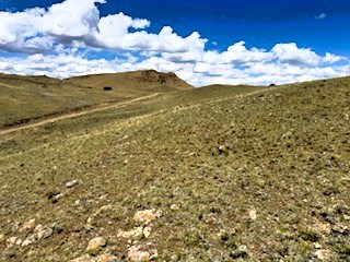 view north from the top of the property