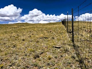 view north from the southeast corner of the lot along the fence with blm land