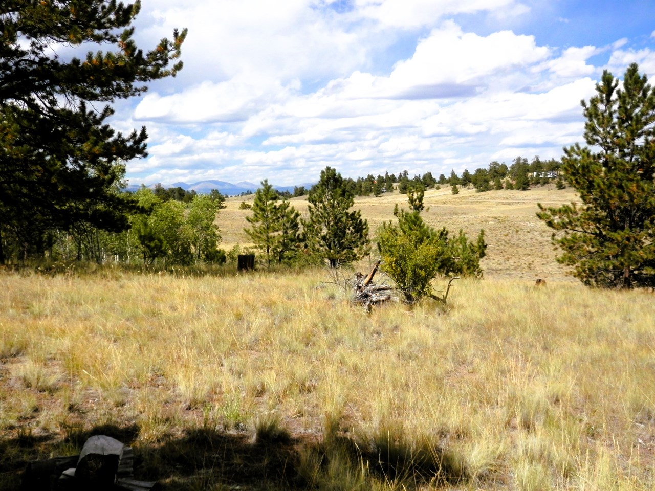 view of the mosquito mountains from the campsite