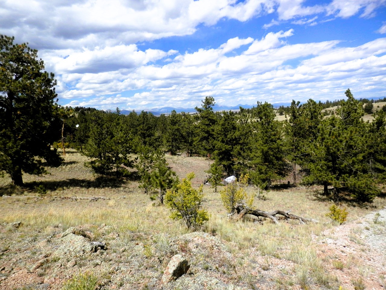 view west over the lot and trees to the mosquito mountains in the background