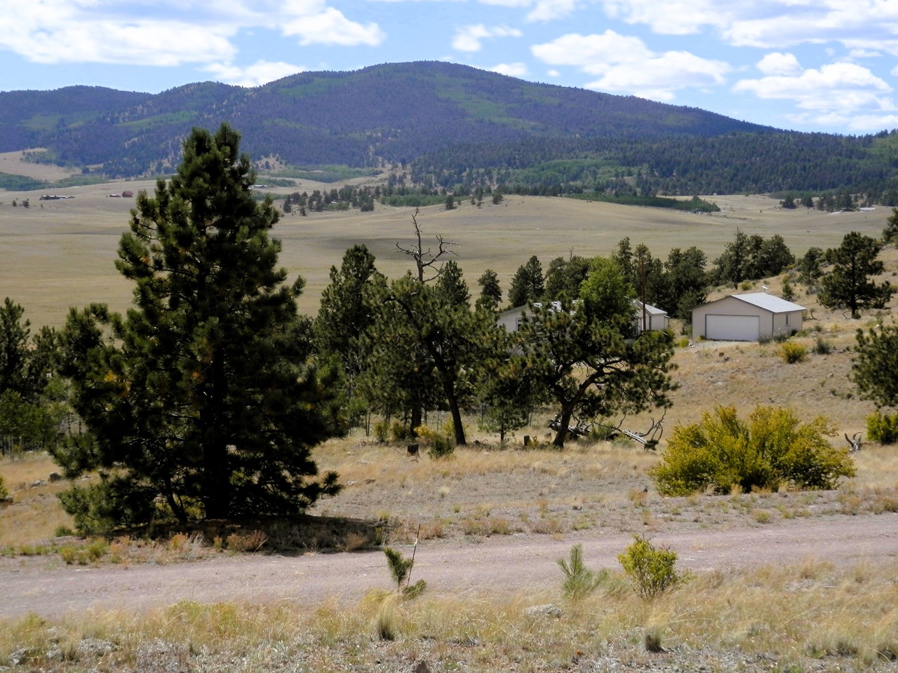 southwest view from the front of the property across the high rollin' sipal ranch to kaufman ridge in san isabel national forest. access into the nf is a short drive down the road