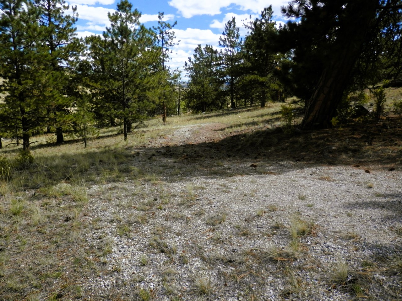 another view of the driveway going down to the campsite