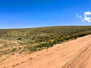 view southeast over the property from the road
