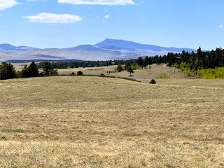 zoomed view across the property to black mountain