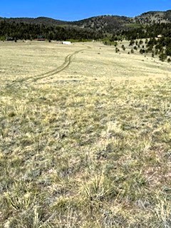 view southwest across the property from the hill near the back of the lot