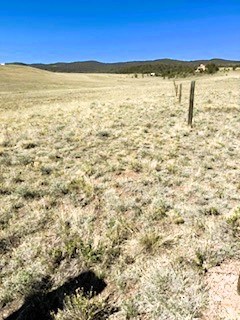 view along the west boundary from the northeast corner of the lot