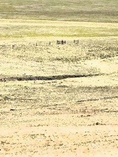 zoomed view to the northeast corner of the lot from the highest point near the back of the property