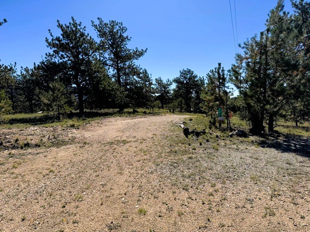 driveway entrance onto lot 258, 126 zion court