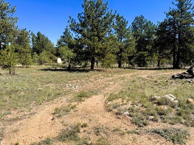 driveway onto lot 241 of carlsbad way at the cul-de-sac