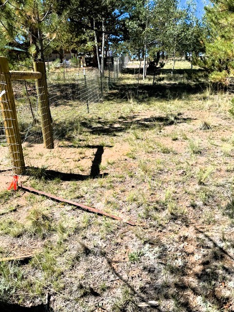 the east southeast corner of lot 241 that runs along the neighbor's fence line to the cul-de-sac at calsbad way