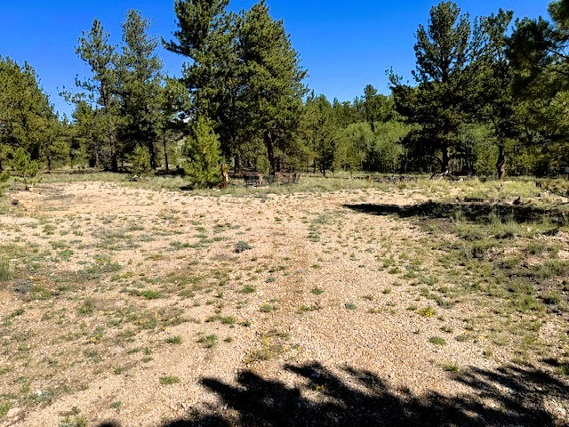 driveway down to the second rv pad surrounded by pines and aspens