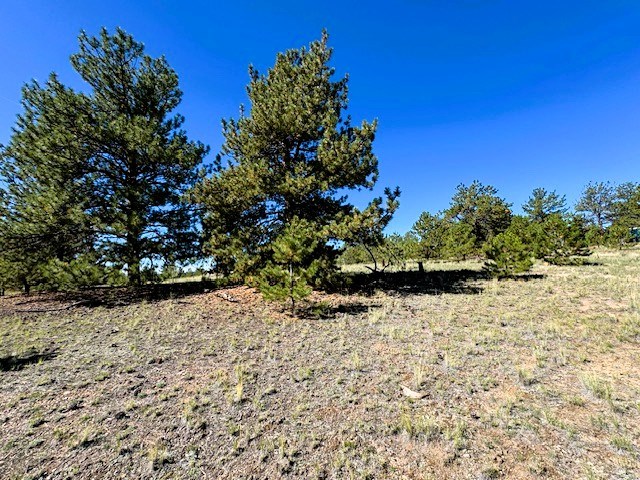 open space makes good area for croquet or other outdoor fun like playing catch, horse shoes, etc.