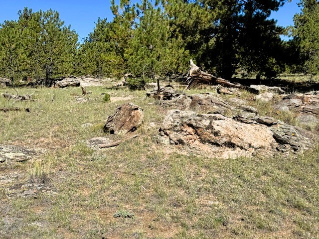 a rock outcropping on one of the lots