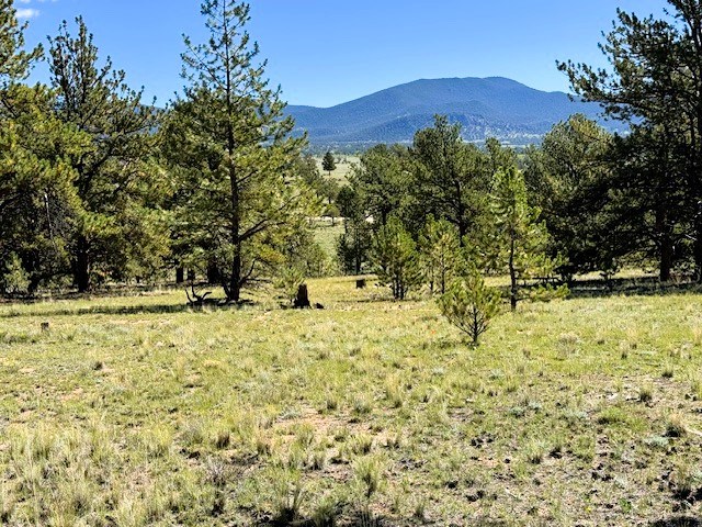 view east to the mountains