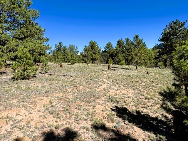 more open space makes good area for croquet or other outdoor fun like playing catch, horse shoes, etc