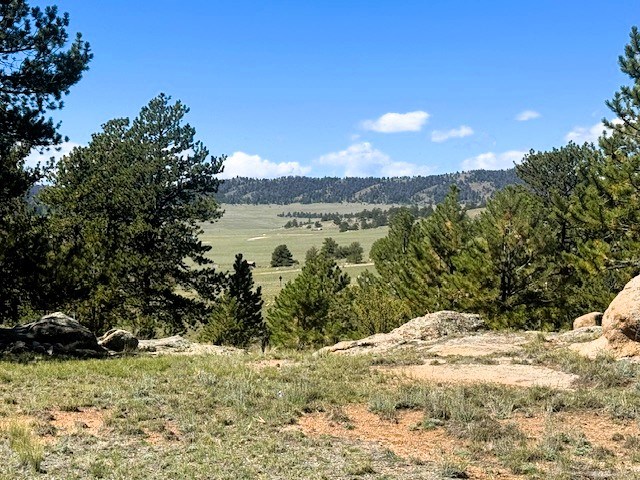 view southwest from lot 240 near the carlsbad way boundary