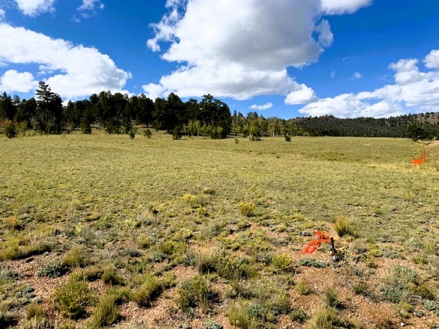 view across the lot from the northeast corner