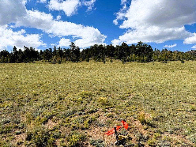 view southwest across the lot from the northeast corner - beautiful!