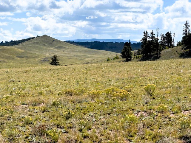 view from the property