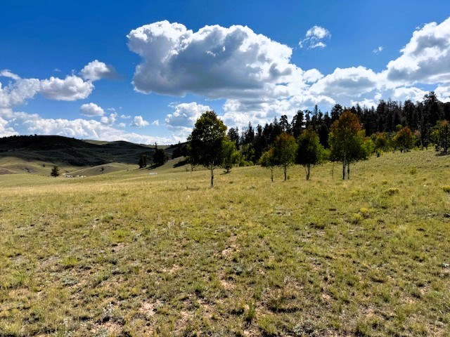 view from the property
