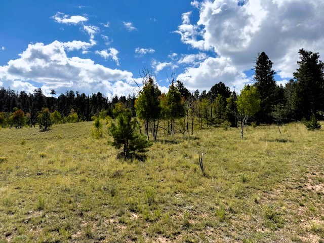 view from the east side of the property over the adjacent property to the east