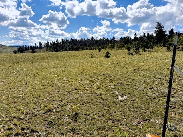view across the property from the northwest corner