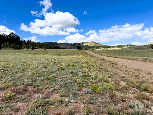 view west over the front of the lot along cherokee trail