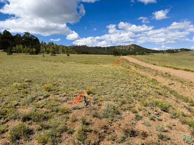 another view west over the front of the lot along cherokee trail from the northeast corner