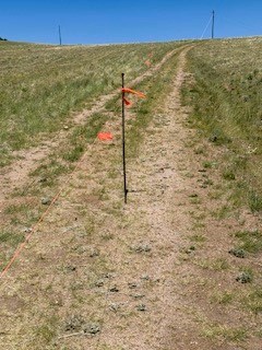 marker marking where the neighbor's road was encroaching along the west side of this property. encroachment has stopped.