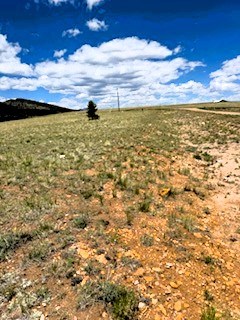 view west along ranch rd from the intersection with sulky ct