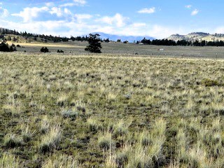 view north northwest from the southwest corner of the property