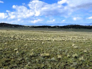view northeast across the lot from the southwest corner of the property