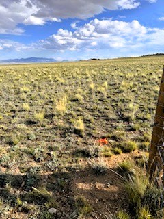 view east from the northwest corner marker along the back (north) property line