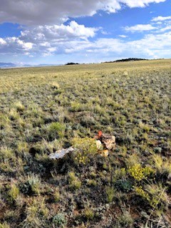 view southeast from the northeast corner marker