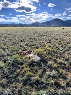 view south from the northeast corner marker