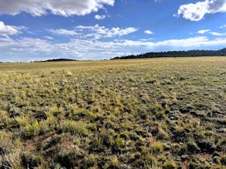 view south from the northeast corner marker