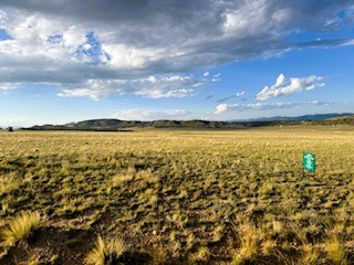 view north across the center of the property