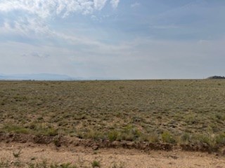 view south over the center of the lot from mesa road