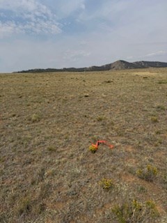 the southeast corner marker