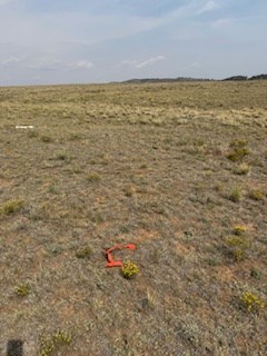 view north from the southeast corner marker