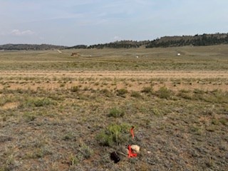 view north over mesa road from the northeast corner marker