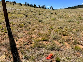 view from the northeast corner of the lot across the property toward the southwest corner of the lot