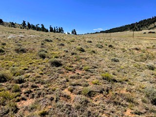 view southwest across the property