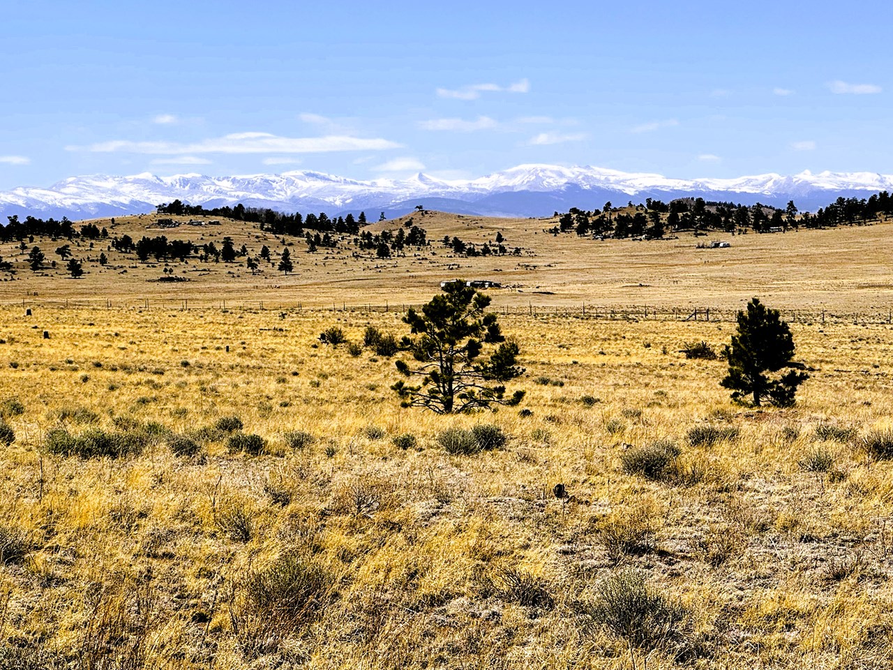 Black Bear Road