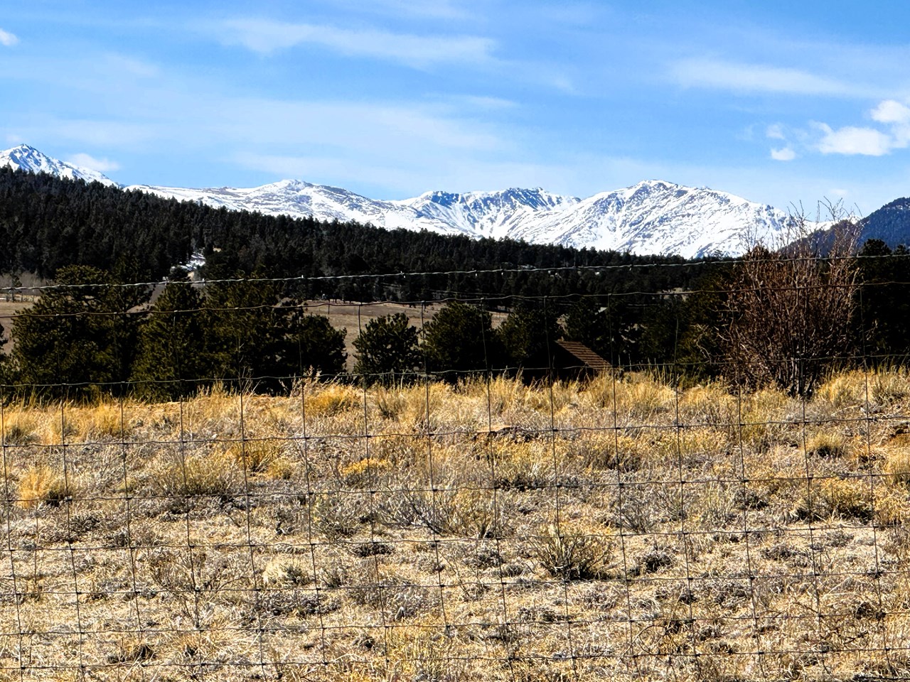 225 Wagon Wheel Road 03