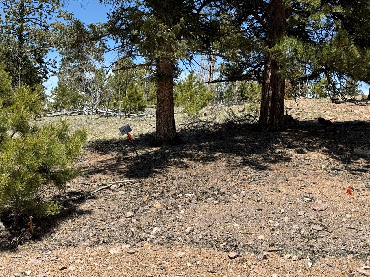 lot 492 sign marking the driveway, aka flag pole, of the property