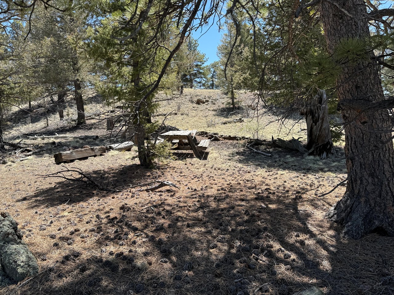 campsite on the lower level below the ridge top