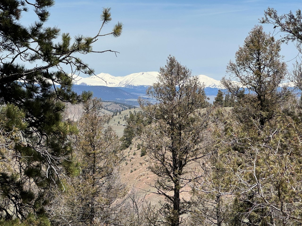 zoomed view of another section of the mosquito mountain range